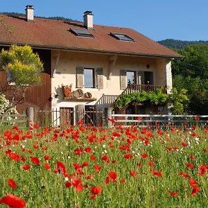 Entredigue Hébergement de vacances Divonne-les-Bains